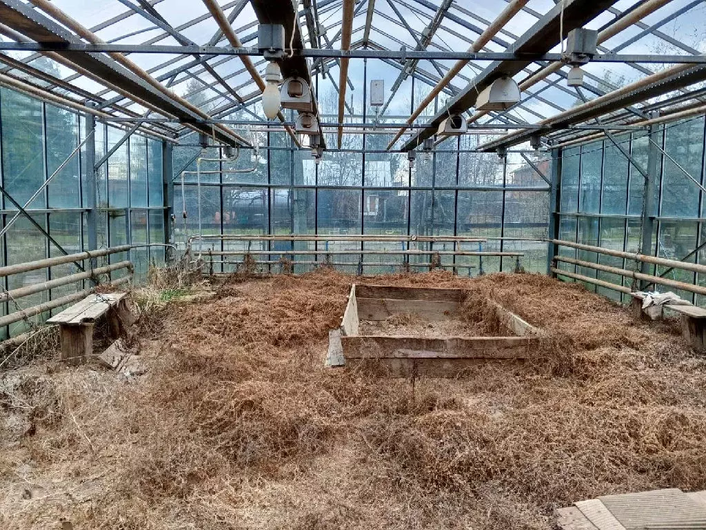 Продается дом в д. Поливаново - Фото 2