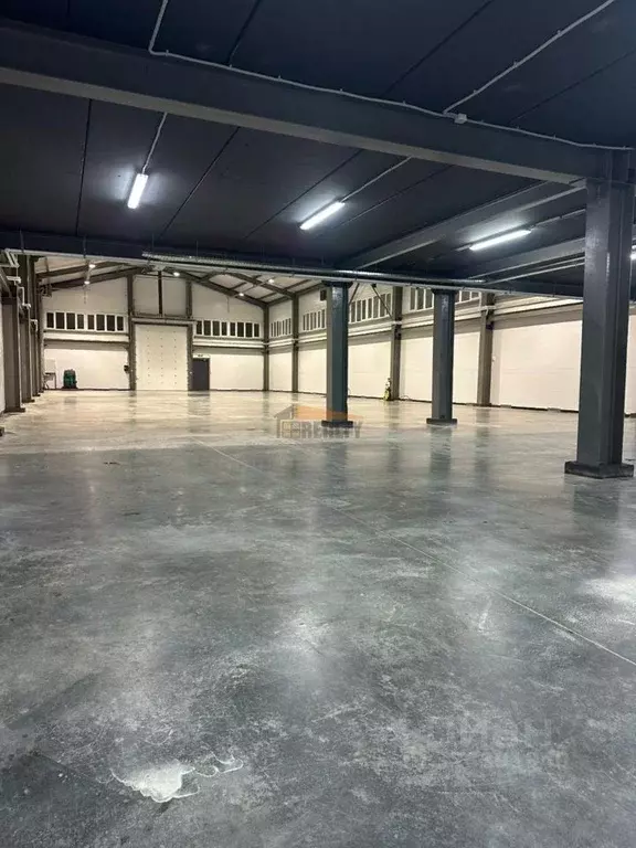 Производственное помещение в Московская область, Богородский городской ... - Фото 1