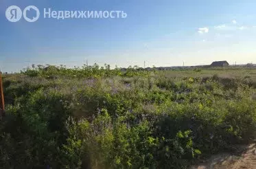 Участок в Пермский муниципальный округ, квартал Телькановский, ... - Фото 2