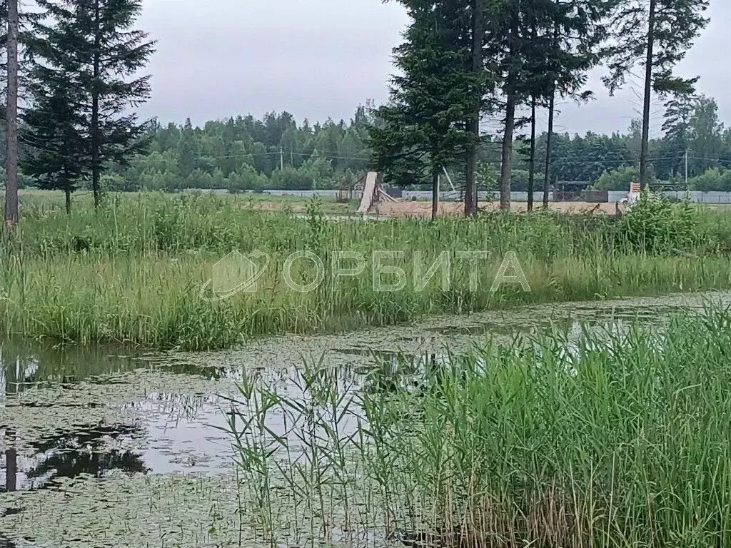 Участок в Тюменская область, Нижнетавдинский район, Геолог-2 СНТ  ... - Фото 0