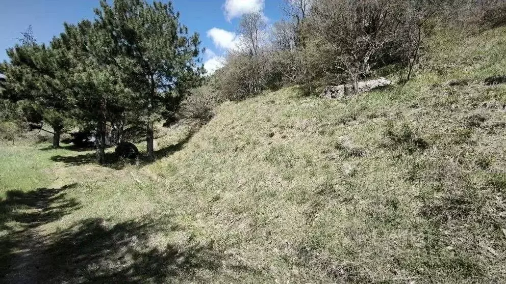 Участок в Крым, Ялта  (7.0 сот.) - Фото 2