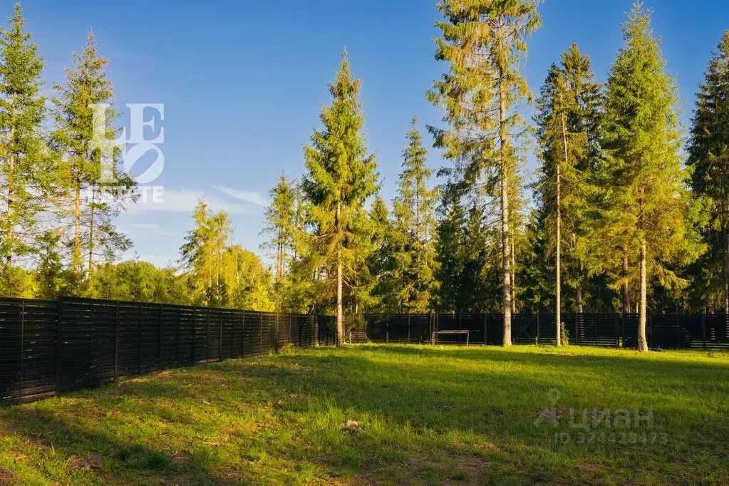 Участок в Московская область, Клин городской округ, Ели Эстейт ... - Фото 2