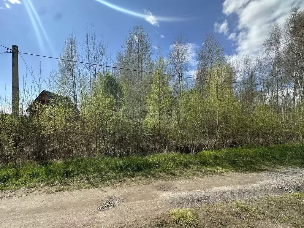 Участок в Ярославская область, Некрасовский муниципальный округ, ... - Фото 1