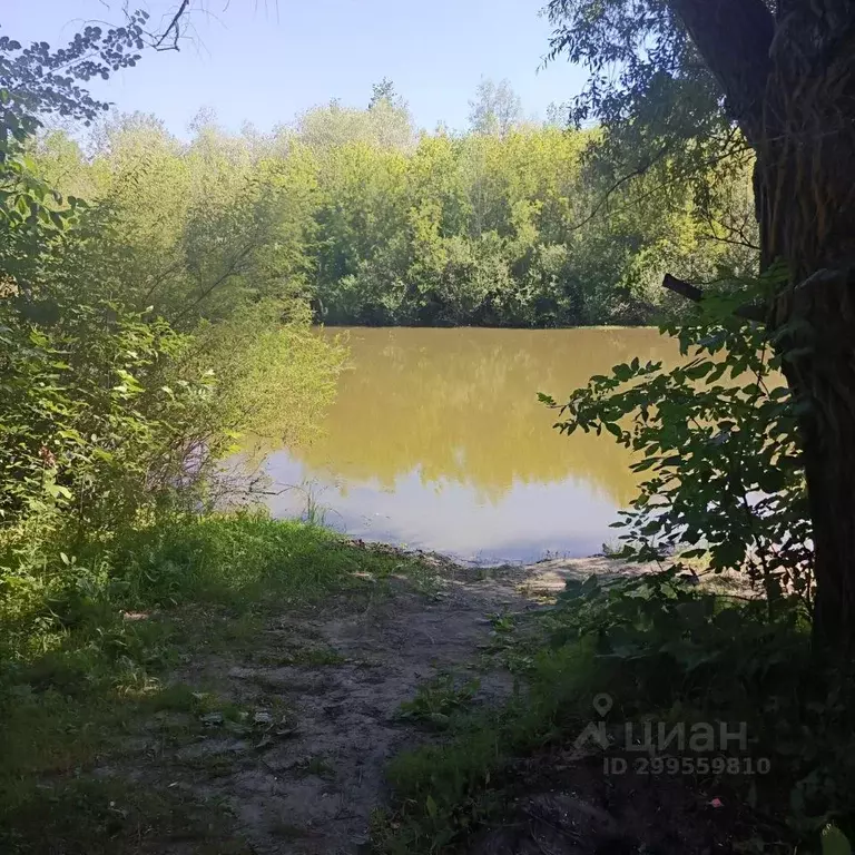 Участок в Саратовская область, Энгельсский район, Красноярское ... - Фото 1