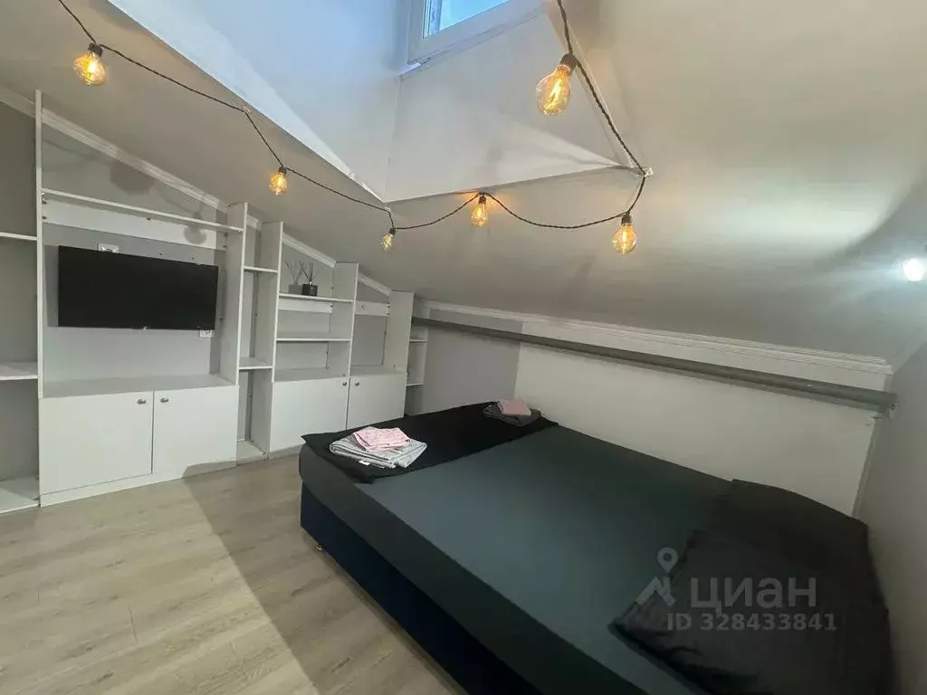 Студия Москва ул. Петра Романова, 7С1 (20.0 м) - Фото 1