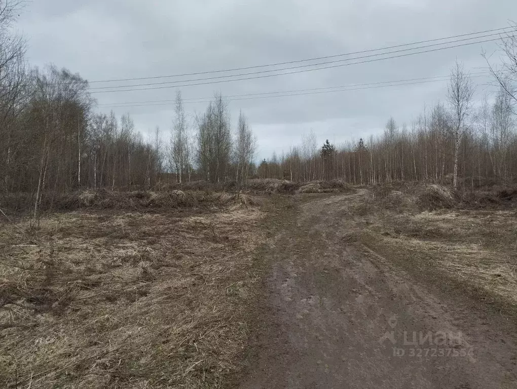 Участок в Нижегородская область, с. Безводное  (8.8 сот.) - Фото 1