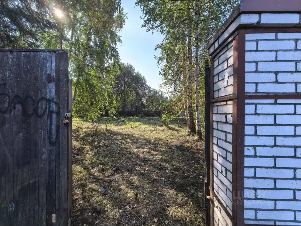 Участок в Ленинградская область, Ломоносовский район, Лебяженское ... - Фото 1