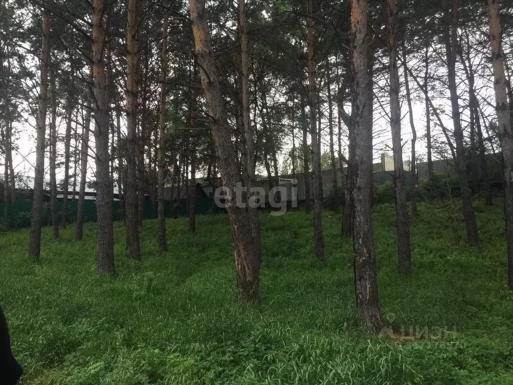 Участок в Амурская область, Благовещенск городской округ, пос. ... - Фото 0