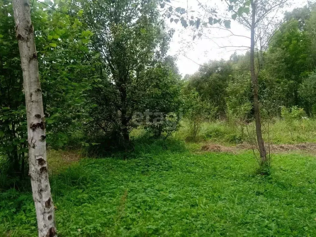 Участок в Тульская область, Алексин городской округ, д. Иньшино ул. ... - Фото 1