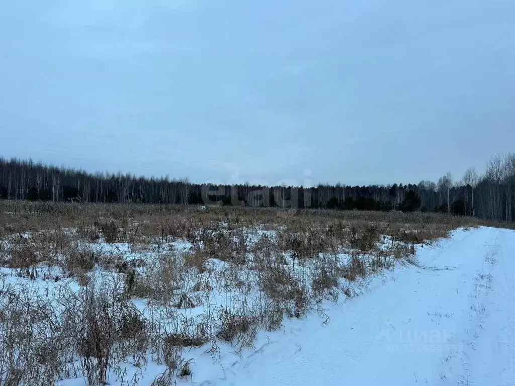 Участок в Тюменская область, Нижнетавдинский муниципальный округ, ... - Фото 1