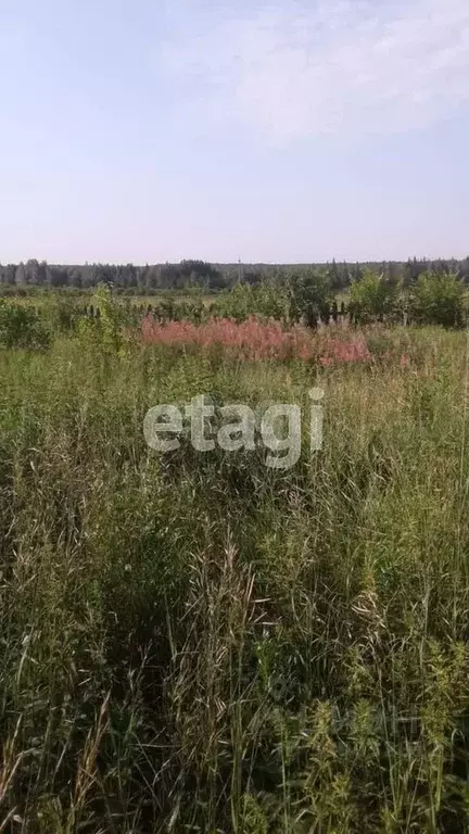 Участок в Свердловская область, Талицкий муниципальный округ, д. ... - Фото 1