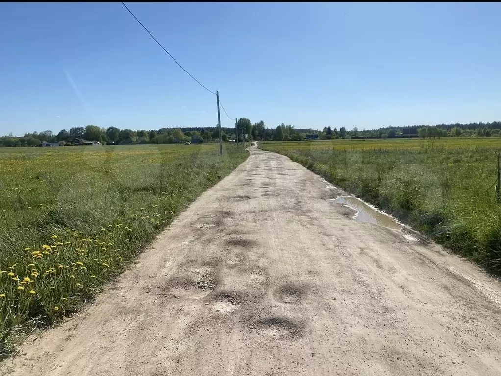 Участок 3,2 га (СНТ, ДНП) - Фото 1