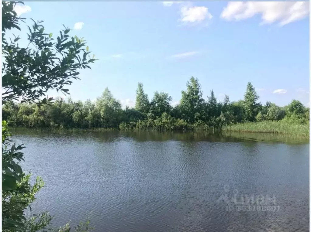 Участок в Ленинградская область, Приозерский район, Громовское с/пос, ... - Фото 1