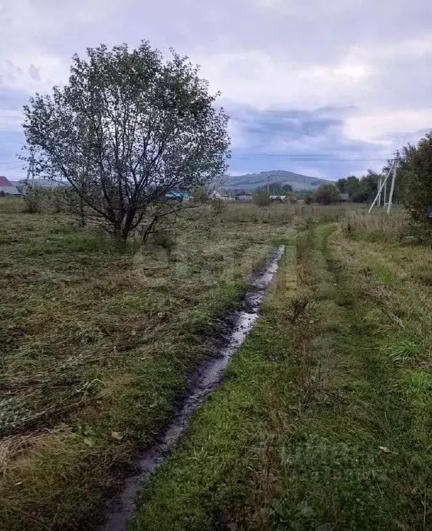 Участок в Алтайский край, Советский район, с. Платово  (10.0 сот.) - Фото 1