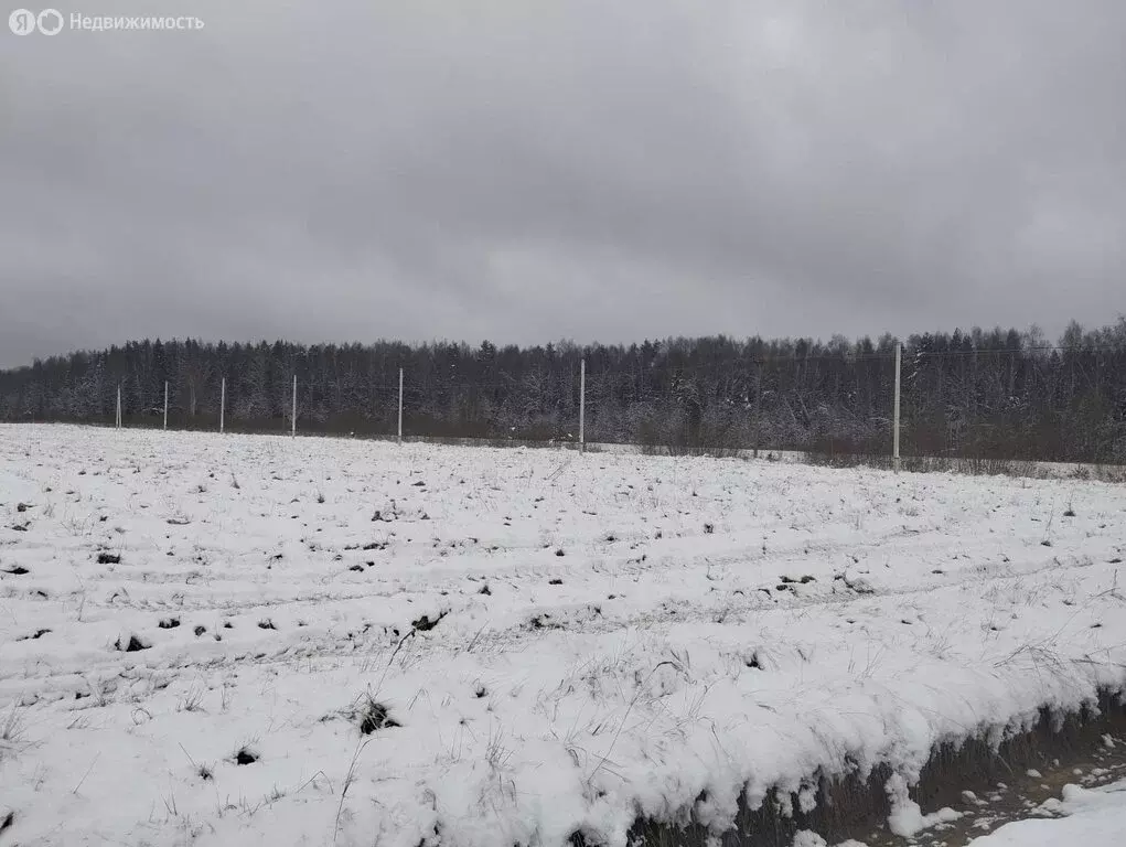 Участок в Дмитровский городской округ, дачный посёлок Раменье (6 м) - Фото 1