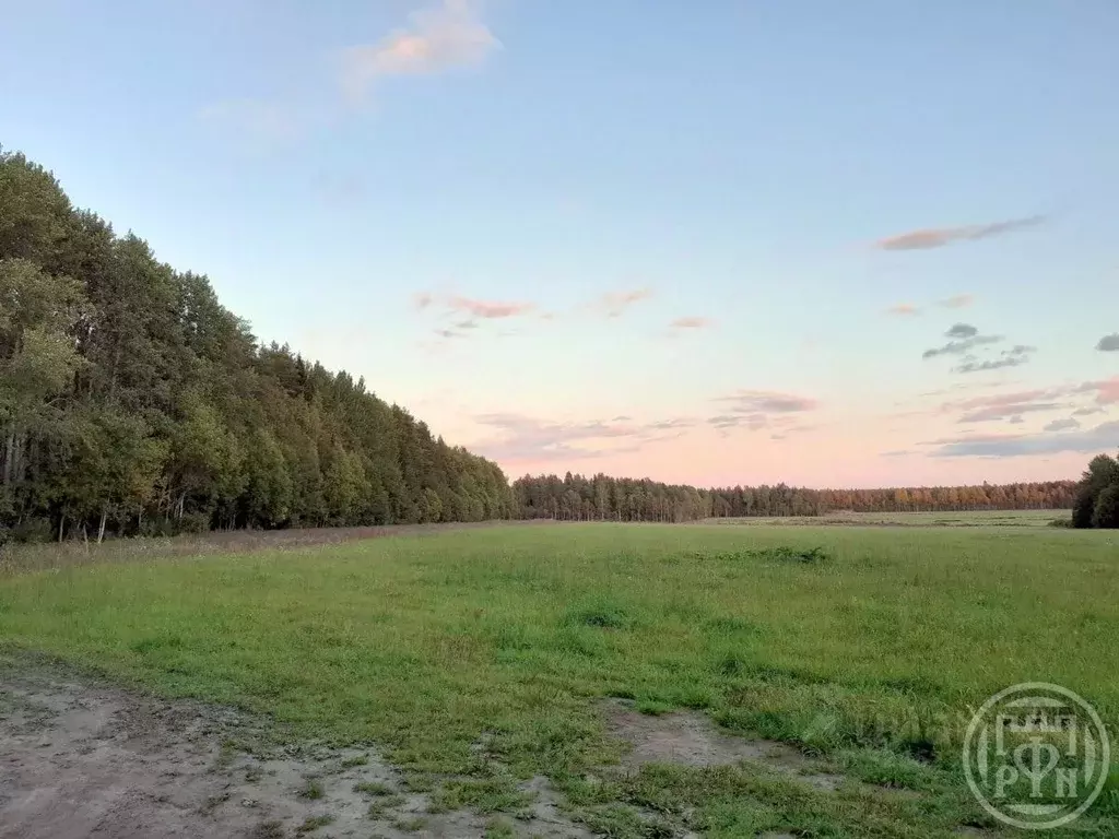 Участок в Ленинградская область, Выборгский район, Красносельское ... - Фото 1