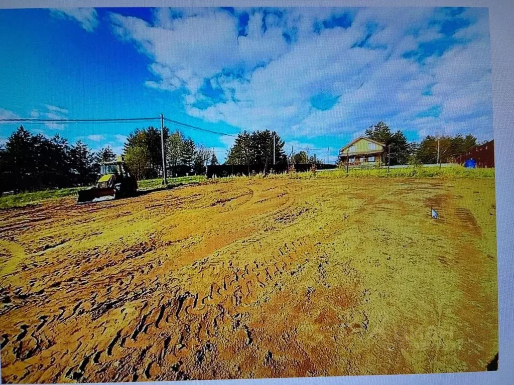 Участок в Ленинградская область, Выборгский район, Приморское ... - Фото 1