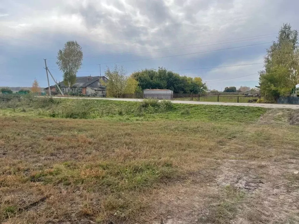 Участок в Новосибирская область, Ордынский район, с. Новопичугово ул. ... - Фото 2