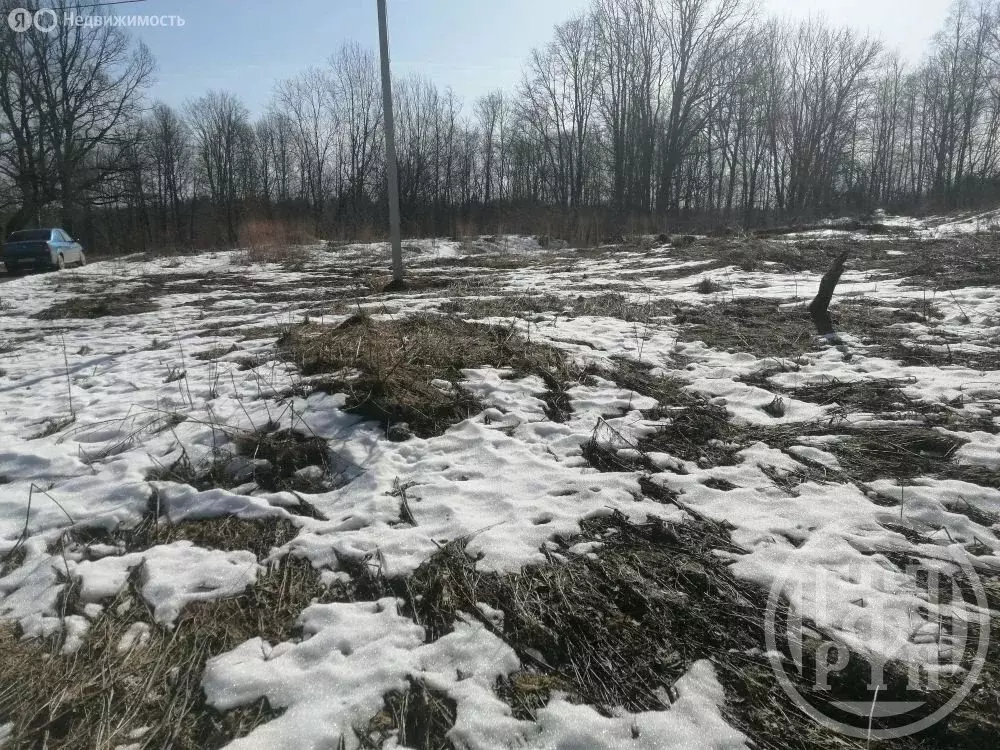 Участок в Ретюнское сельское поселение, деревня Витово (37 м) - Фото 2