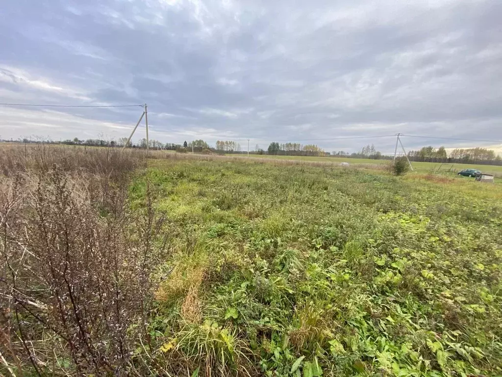 Участок в Ленинградская область, Гатчинский муниципальный округ, д. ... - Фото 2