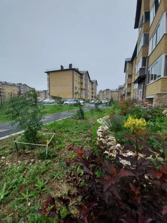 Квартира-студия, 37,9 м, 1/4 эт. - Фото 1