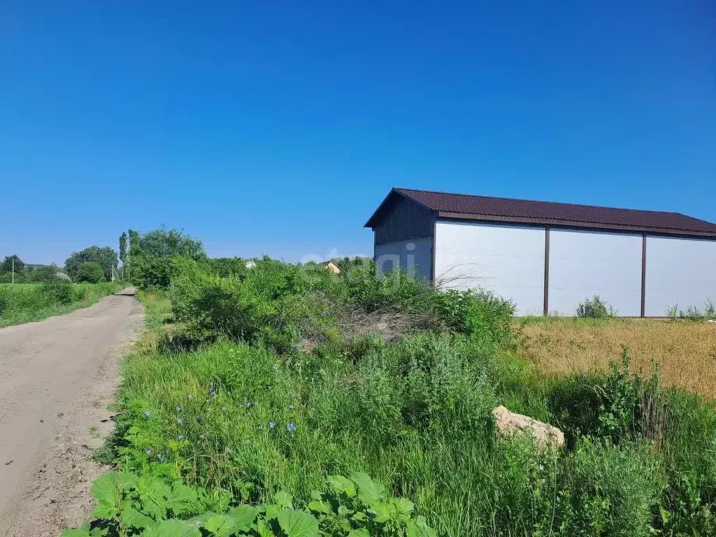 Участок в Белгородская область, Валуйский муниципальный округ, Уразово ... - Фото 1