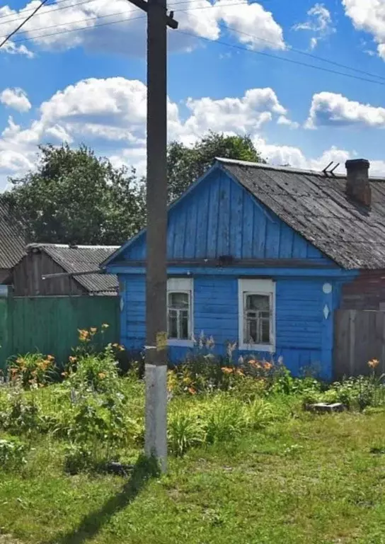 Дом в Брянская область, Новозыбковский городской округ, с. Замишево ... - Фото 1