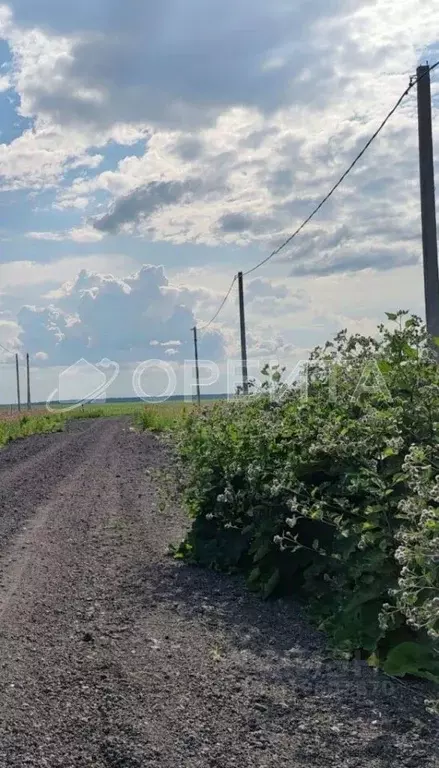 Участок в Тюменская область, Тюменский район, д. Малиновка  (5.0 сот.) - Фото 0