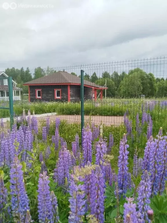 Дом в Лесколовское сельское поселение, ДНП Пять холмов (51 м) - Фото 1