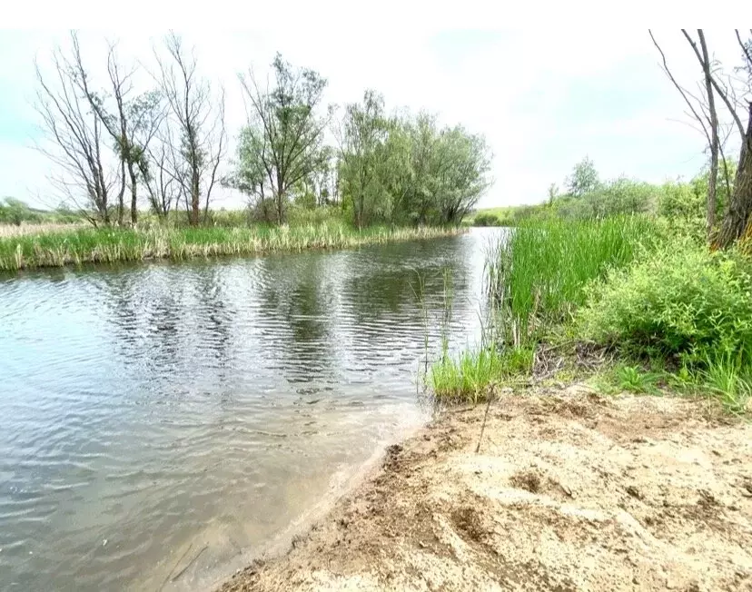 Участок в муниципальное образование Саратов, село Сторожевка (5 м) - Фото 1
