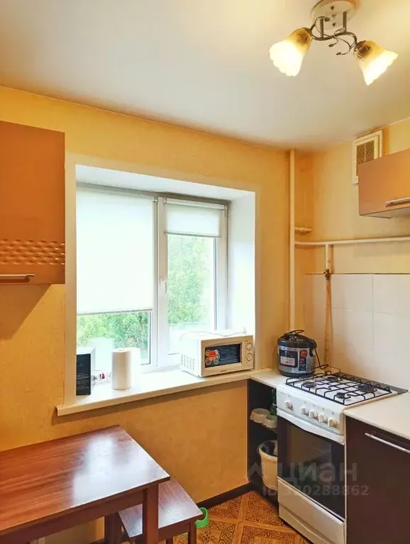 1-к кв. Псковская область, Псков Рижский просп., 60 (29.2 м) - Фото 0