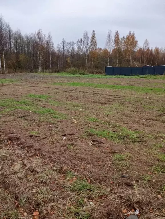 Участок в Ленинградская область, Волховский район, Потанинское с/пос, ... - Фото 1