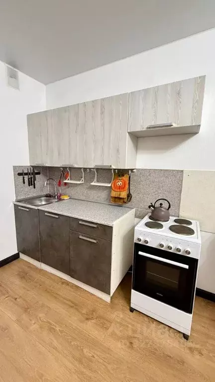 Студия Ленинградская область, Мурино Всеволожский район, ул. Шувалова, ... - Фото 1