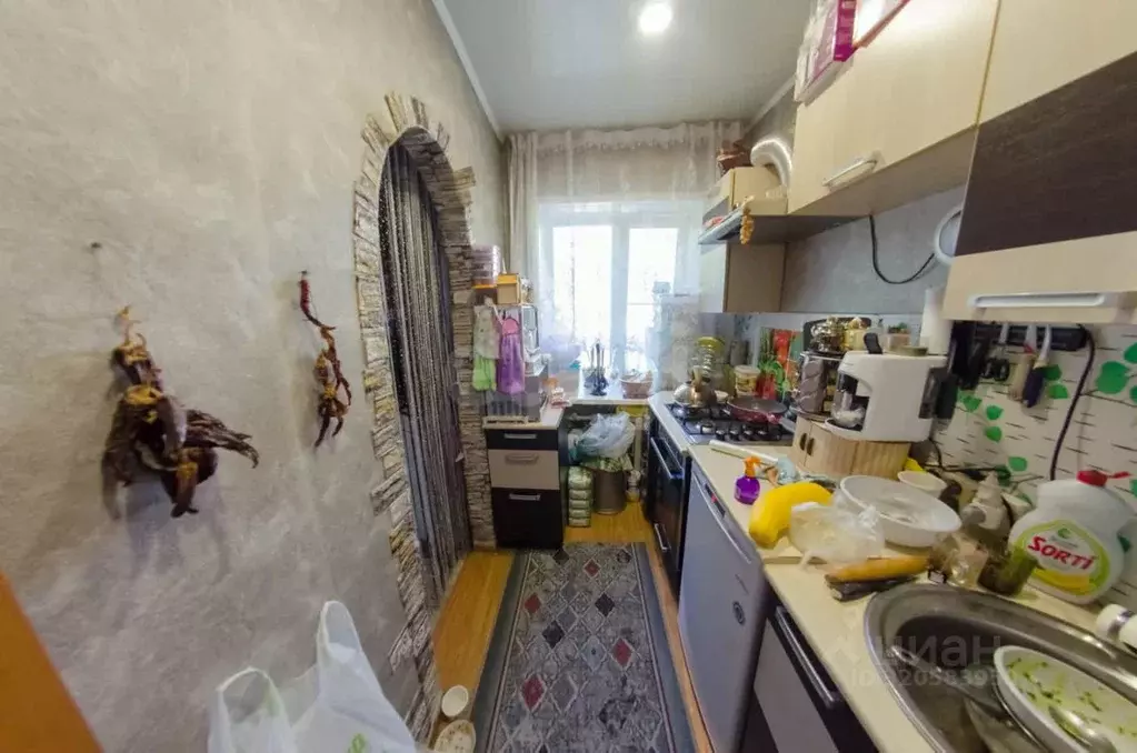 2-к кв. Курганская область, Шадринск ул. Гагарина, 6 (31.3 м) - Фото 1