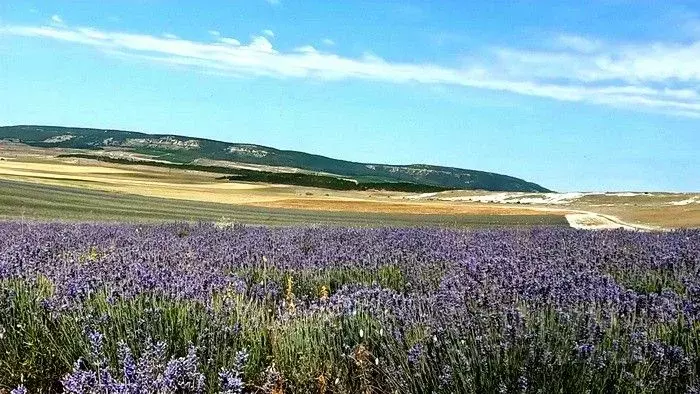 Участок в Крым, Бахчисарайский район, Железнодорожненское с/пос, с. ... - Фото 1