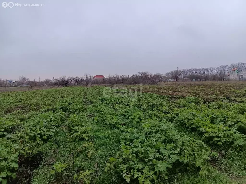 Участок в Краснодарский край, муниципальный округ Анапа, хутор Нижняя ... - Фото 1