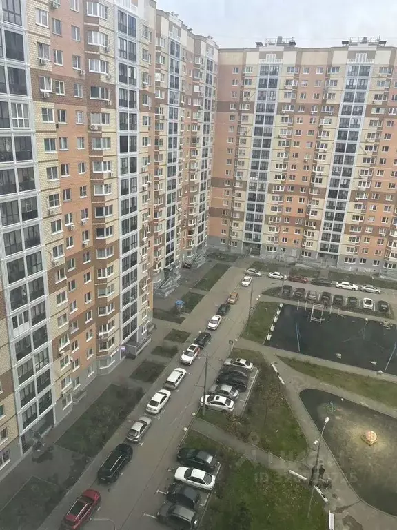 2-к кв. Московская область, Домодедово Южный мкр, ул. Курыжова, 14к1 ... - Фото 2