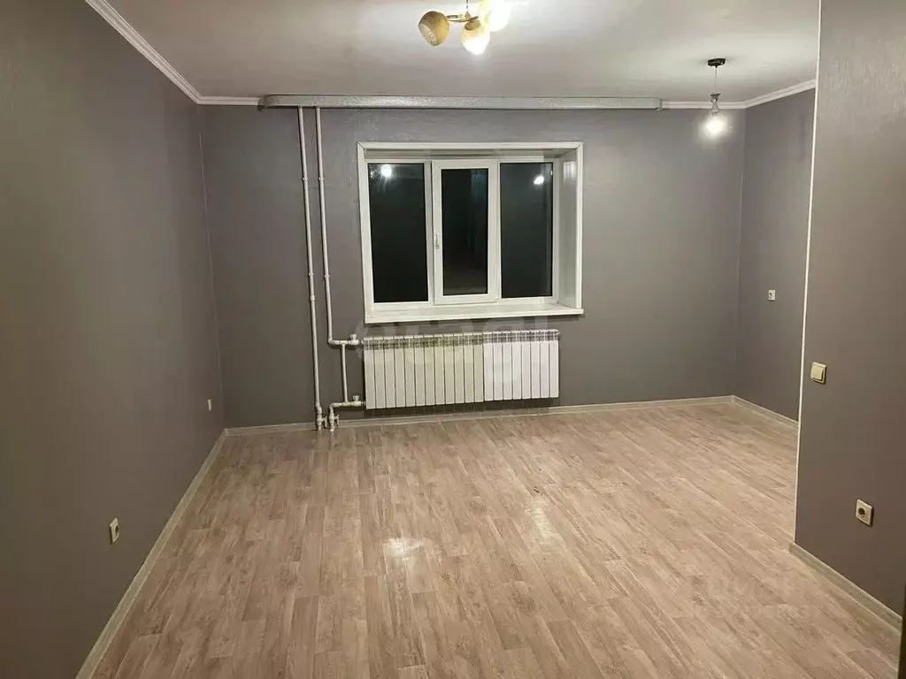 Студия Амурская область, Благовещенский район, с. Чигири Октябрьская ... - Фото 1