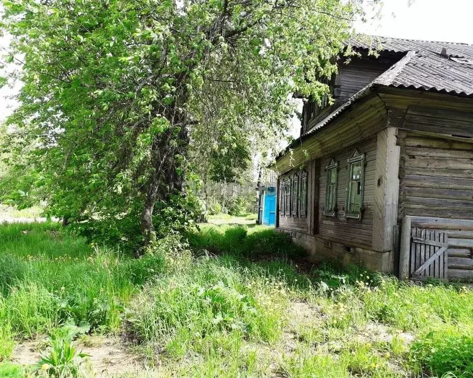 Д родней. Дом в Луковниково Старицкий район. Дарьино Тверская область Старицкий район. Луковниково Старицкий район Тверская область деревня. Нисконицы Старицкий район.