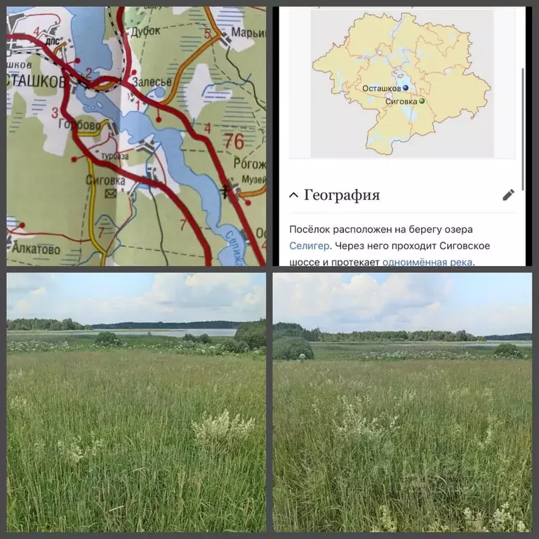 Участок в Тверская область, Осташковский муниципальный округ, пос. ... - Фото 1