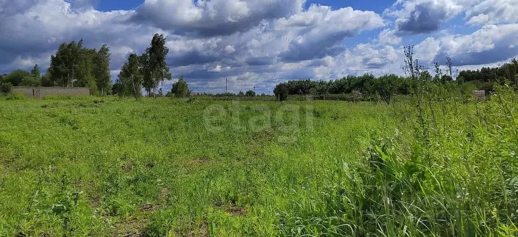 Участок в Тульская область, Щекинский район, Ломинцевское с/пос, д. ... - Фото 1