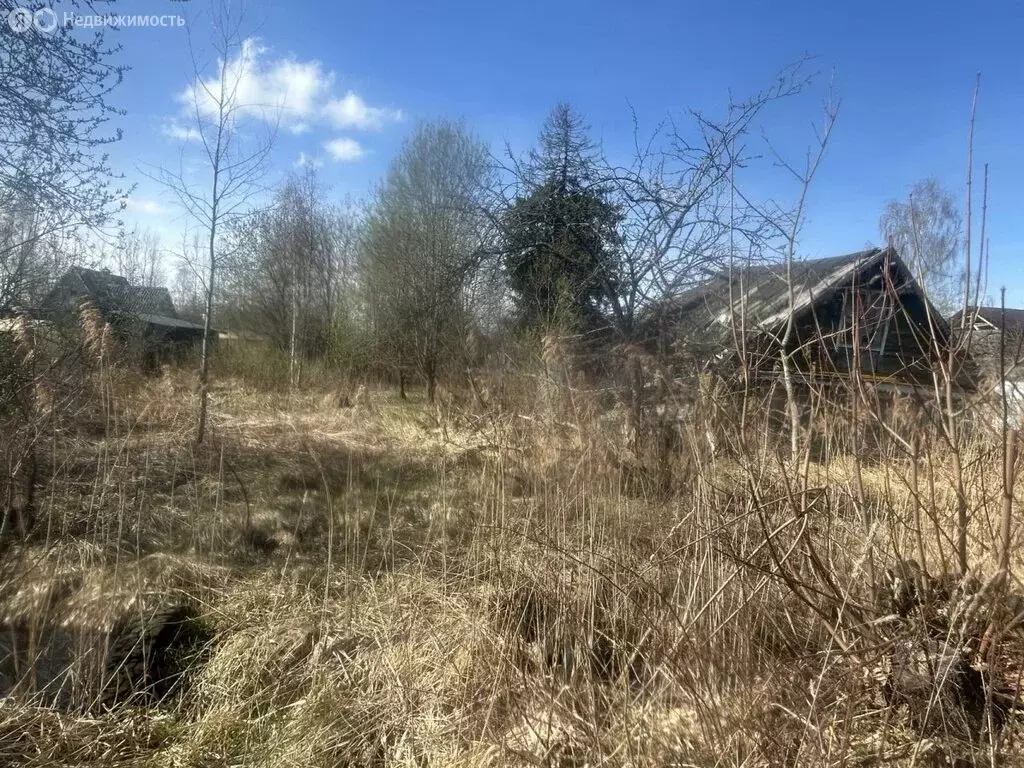 Участок в Кировский район, Синявинское городское поселение, ... - Фото 1