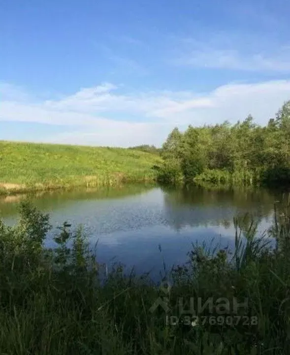 Участок в Пермский край, Пермский муниципальный округ, с. Кольцово  ... - Фото 1