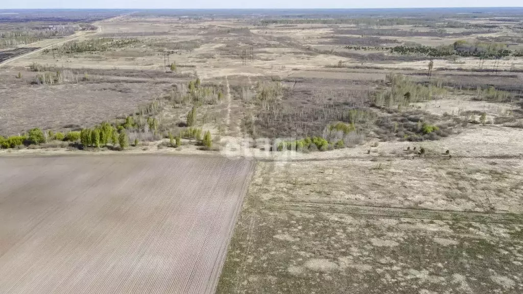 Участок в Тюменская область, Тюменский муниципальный округ, с. Борки ... - Фото 1