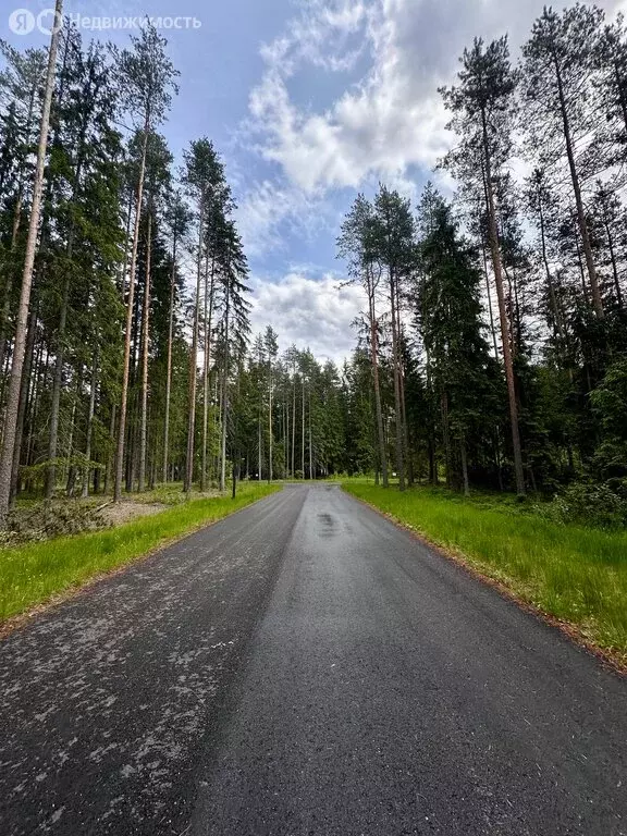 Участок в Рощино, КП Еловая Усадьба (12.48 м) - Фото 0