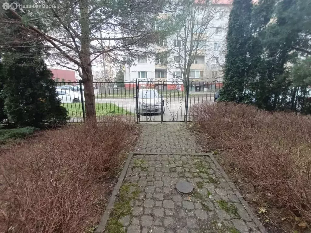 Офис (105.2 м) - Фото 1