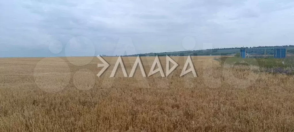 Участок 3,92 га (личное подсобное хозяйство (лпх)) - Фото 0