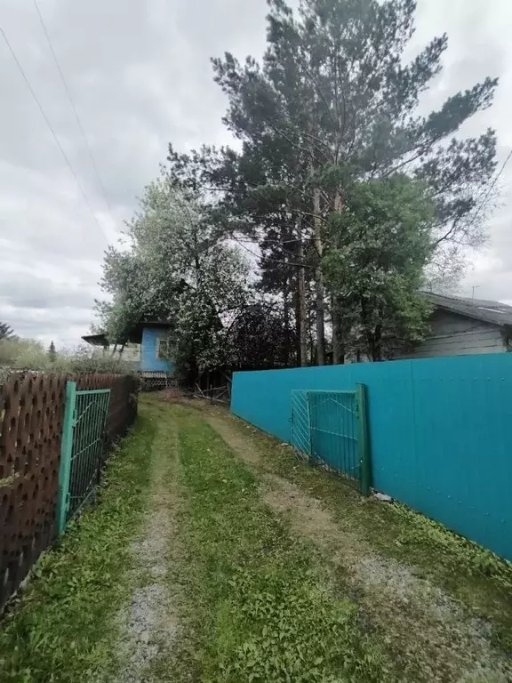 Дом в Новосибирская область, Новосибирск Ивушка СНТ, ул. Луговая, 65 ... - Фото 1