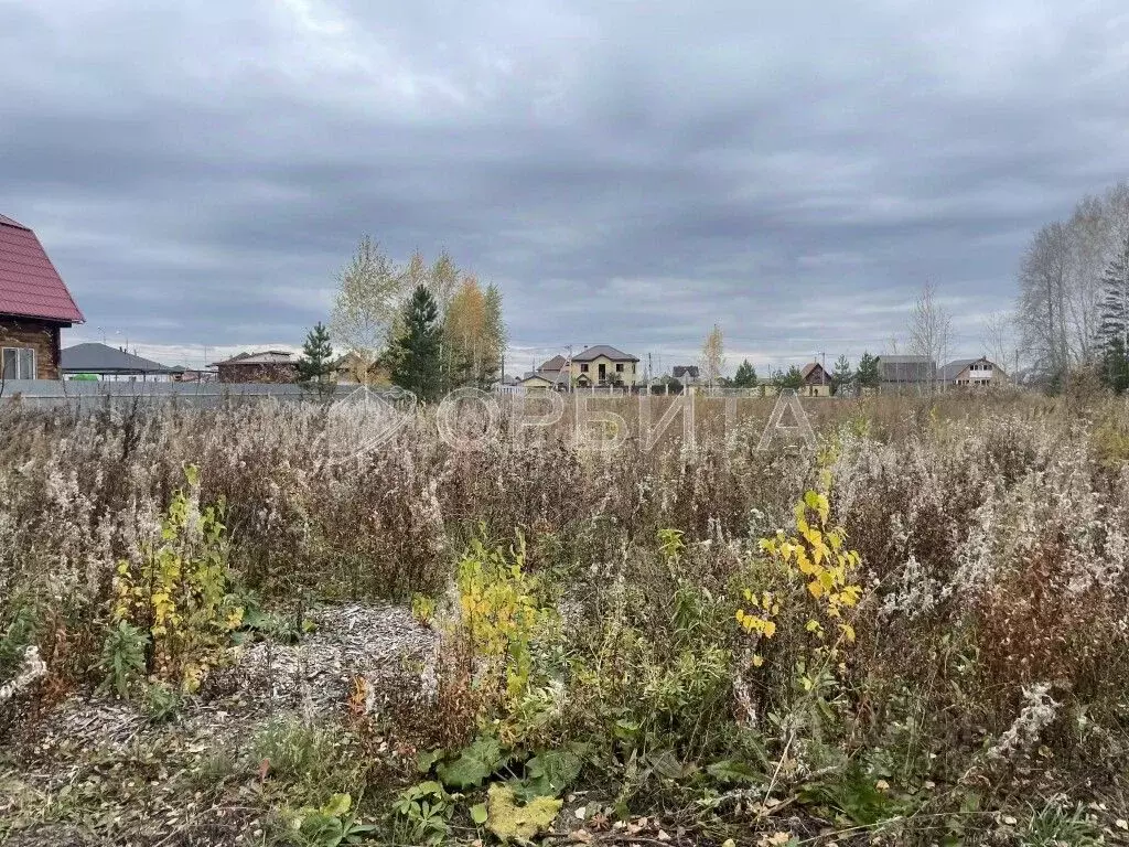 Участок в Тюменская область, Тюменский муниципальный округ, д. Ушакова ... - Фото 1