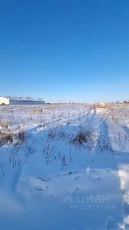 Участок в Амурская область, Благовещенский район, с. Волково  (18.95 ... - Фото 0